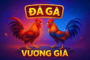 Đá Gà Vương Giả KJC – Trò Chơi Hấp Dẫn Tại KJC Việt Nam